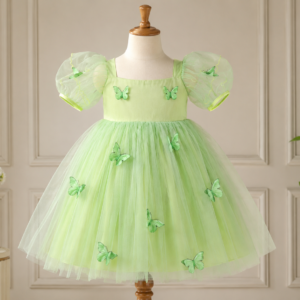 3D Butterfly Appliques Frock