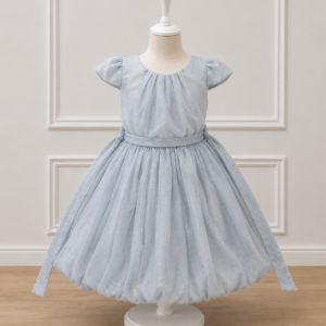 Elegant Moon light Frock