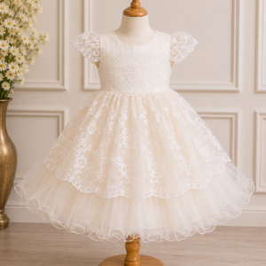 Ivory Net Embroidery Frock