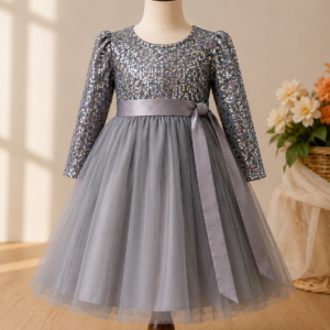 Silver Net Sequin Frock
