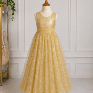 Golden Sequin Net Frock