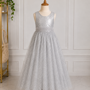 Silver Sequin & Net Frock