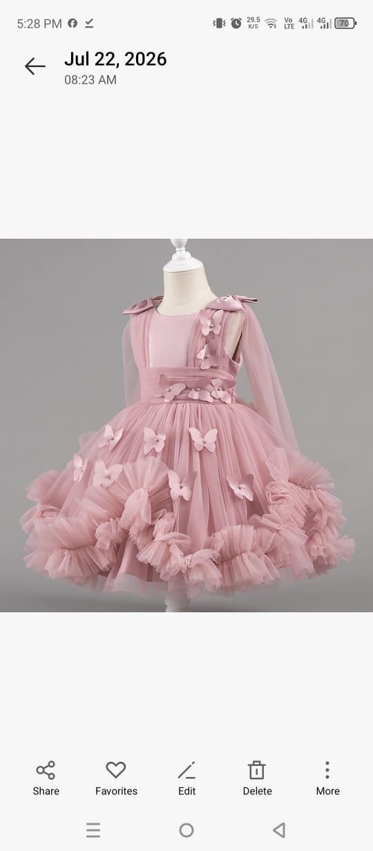 Butterfly Net Princess Frock - Image 9