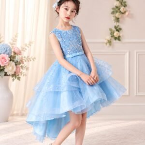 Elegant Sequin Layered Party Frock