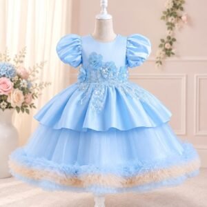 Elegent  Silk Embroidery frock