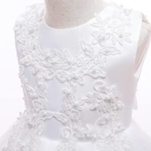 Embroidery Net Tail Frock