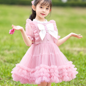 Elegant Silk And Net Bow Frock