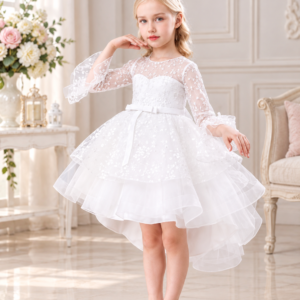 Elegant Lace Princess Frock